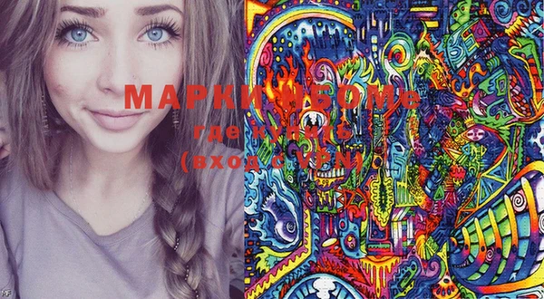 твердый Аркадак