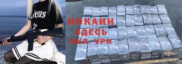 твердый Аркадак